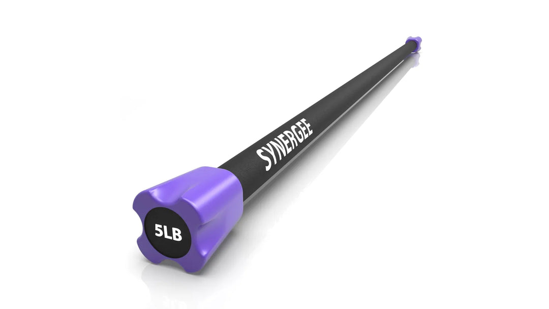 Synergee 5-pound weighted workout barbell with black handle and silver weights for strength training and resistance exercises.