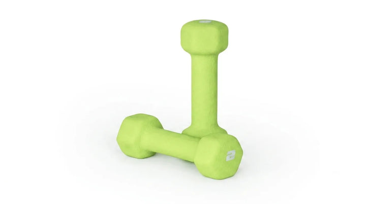 Home Dumbbell Workout – Neoprene Hex Dumbbells