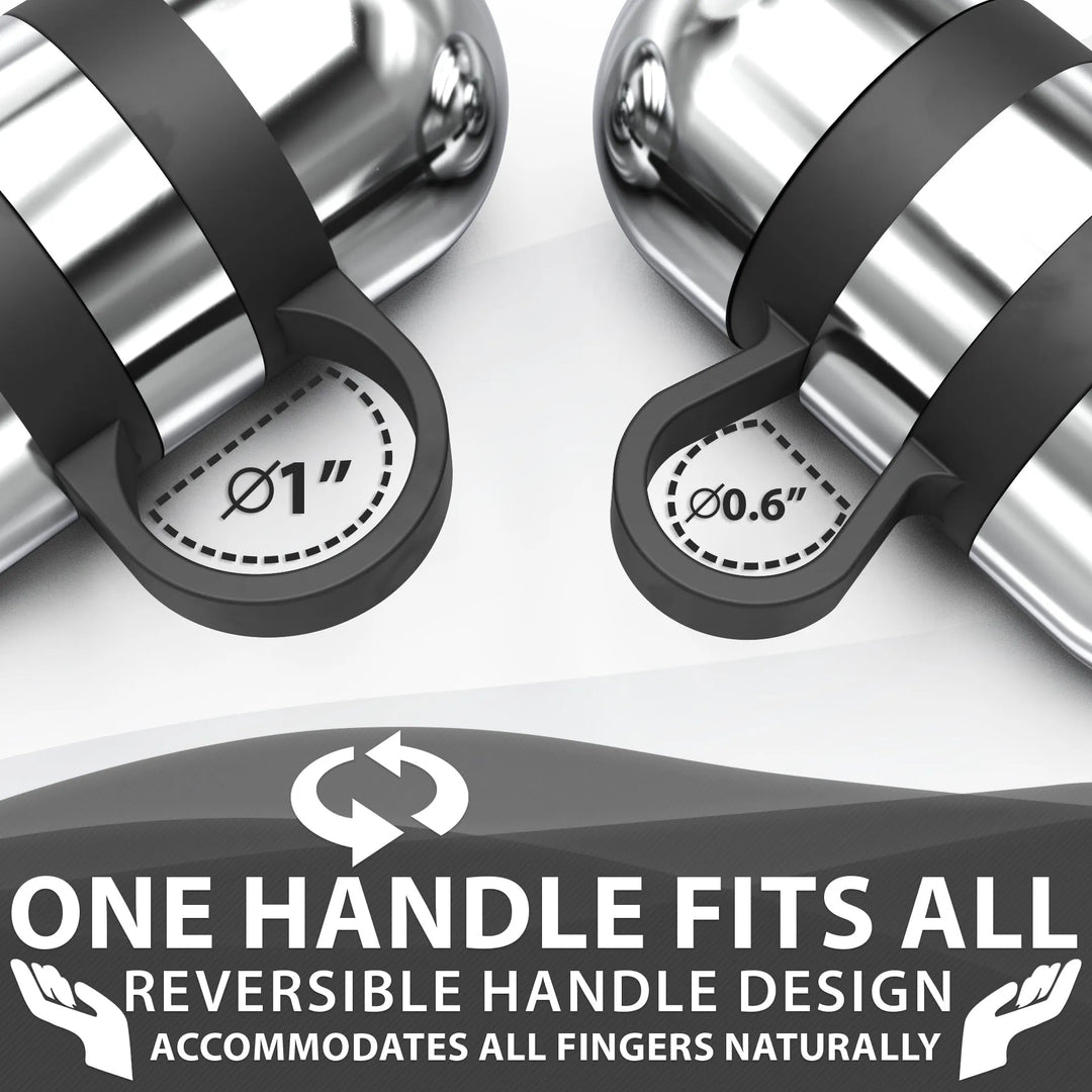 Pair of Synergee hand weights for strength training, featuring adjustable dumbbell design for versatile free weight exercises.