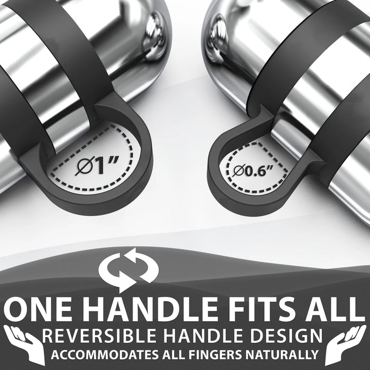 Pair of Synergee hand weights for strength training, featuring adjustable dumbbell design for versatile free weight exercises.