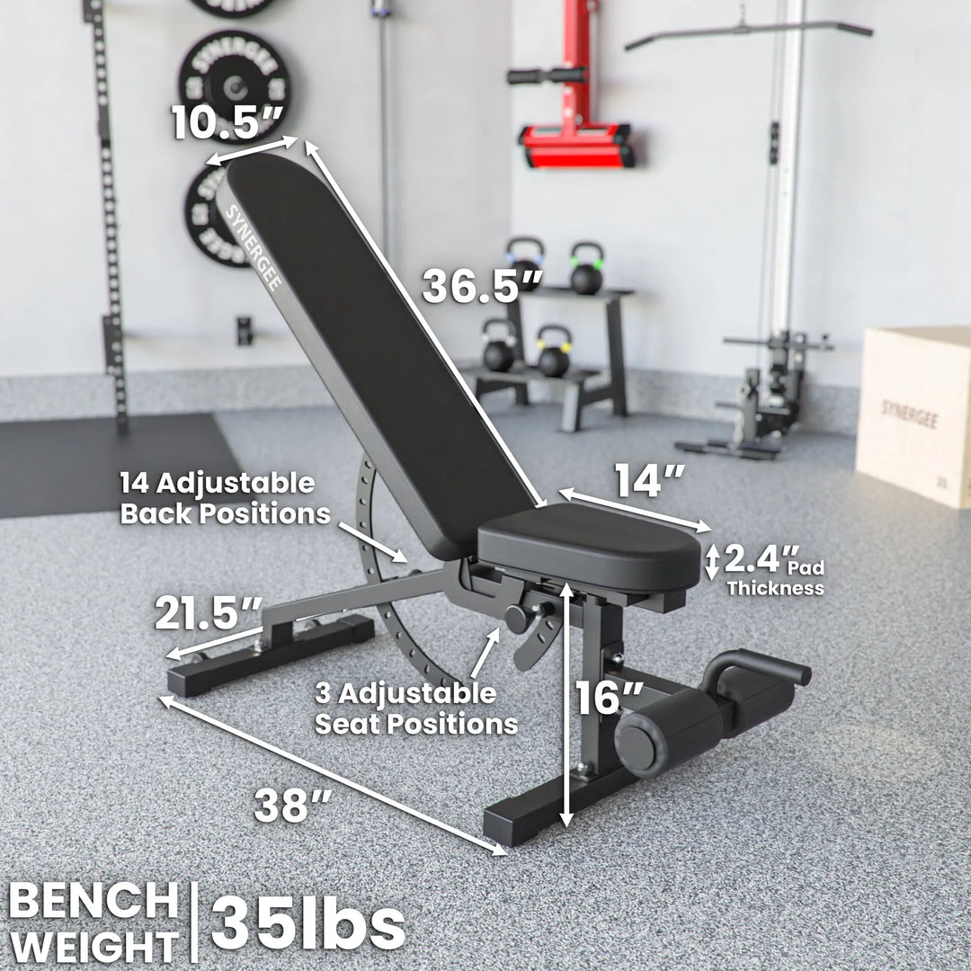 Synergee adjustable weight bench with padded seat and backrest for versatile strength training and fitness workouts.