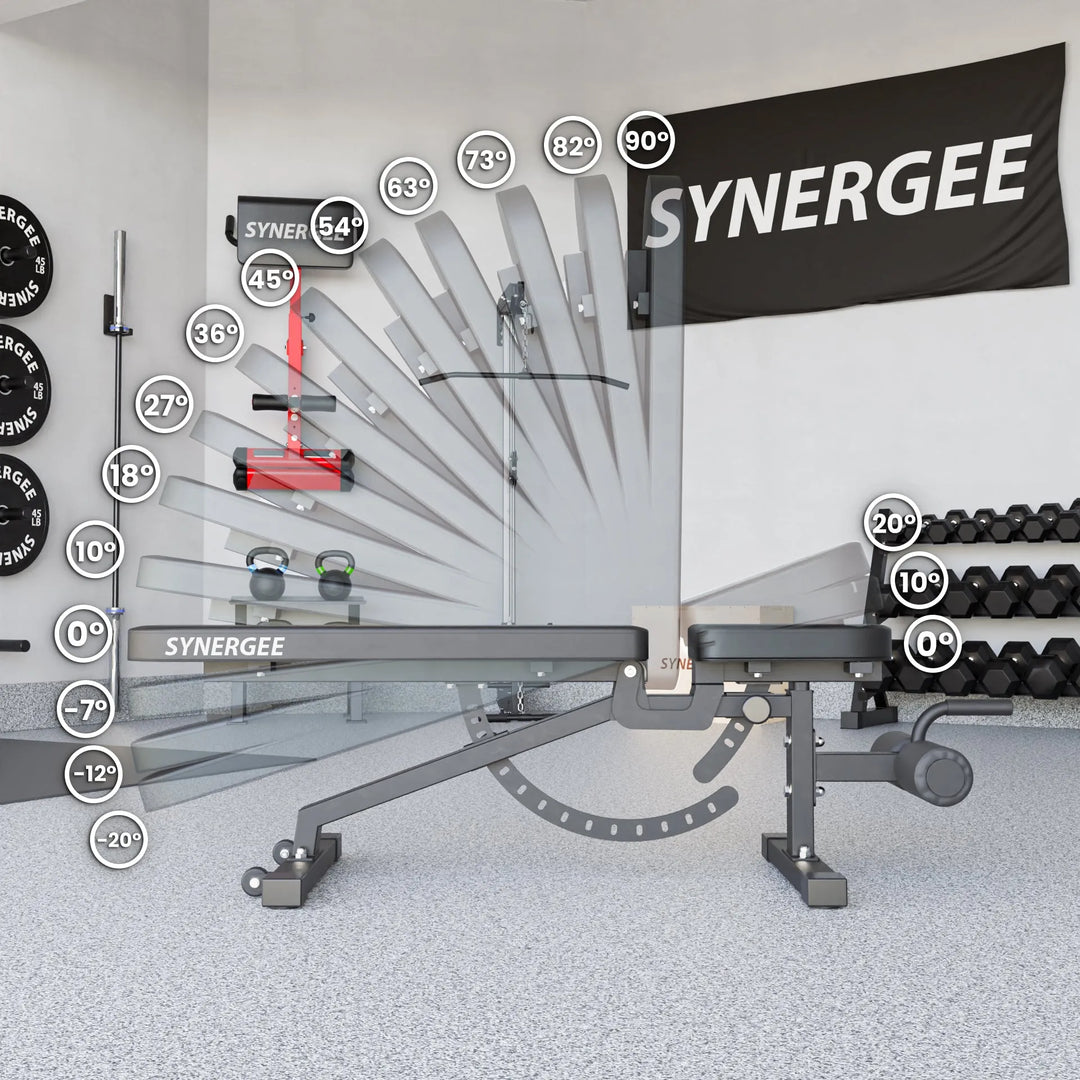 Synergee adjustable weight bench with padded seat and backrest for strength training and versatile workouts.